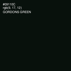 #09110C - Gordons Green Color Image